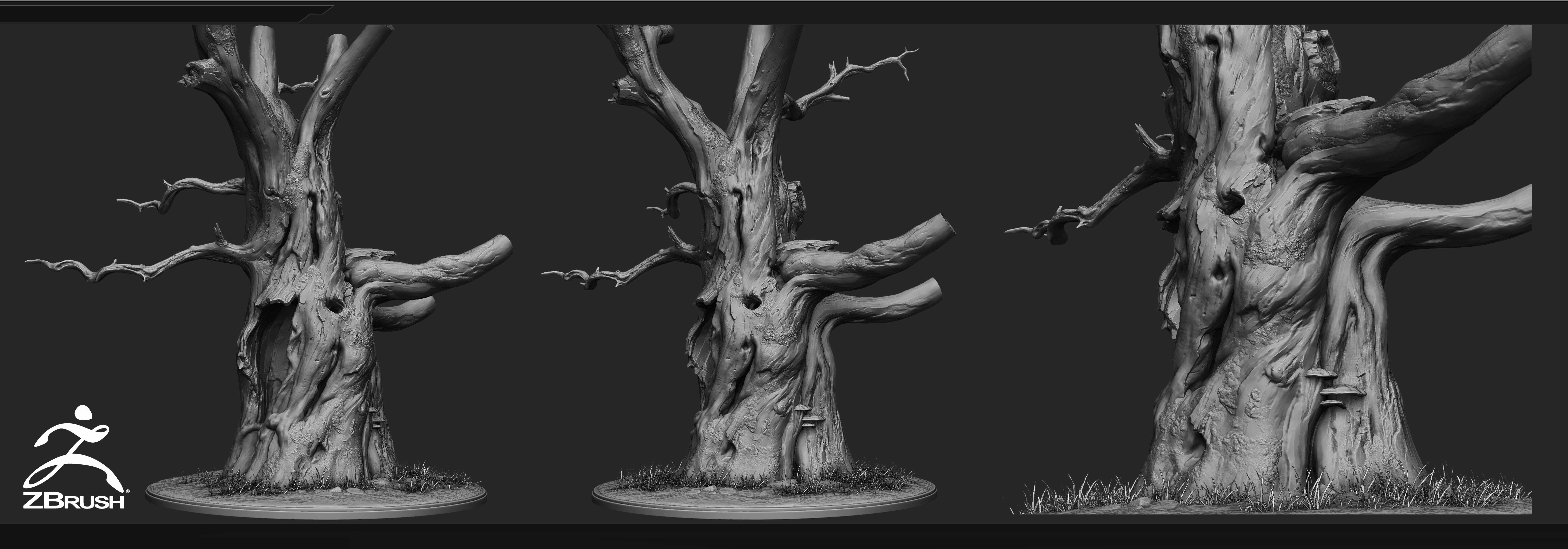 IMPRESSION TREE ZBrushCentral