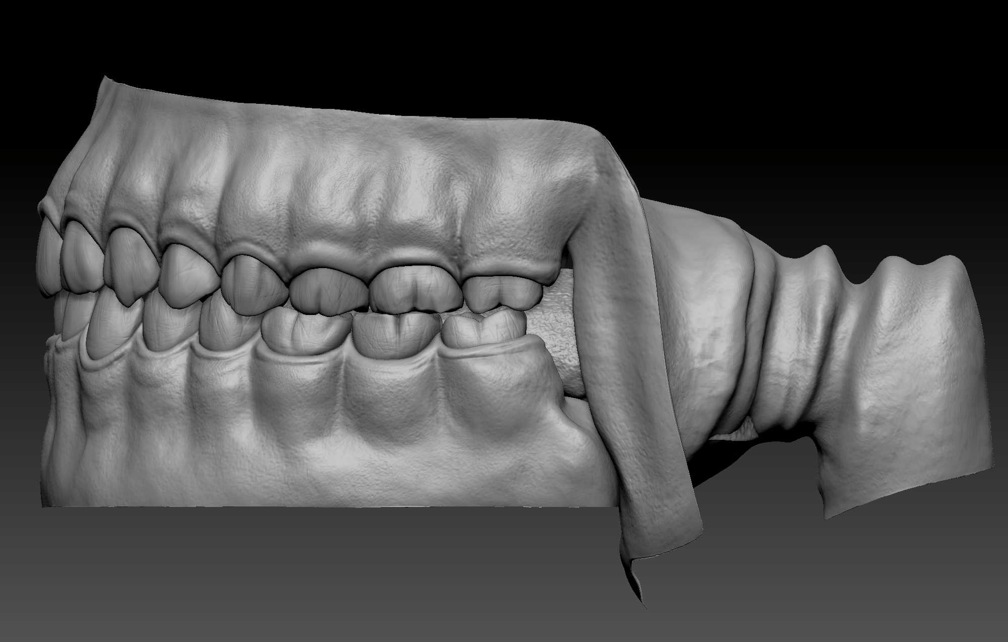 human teeth zbrush