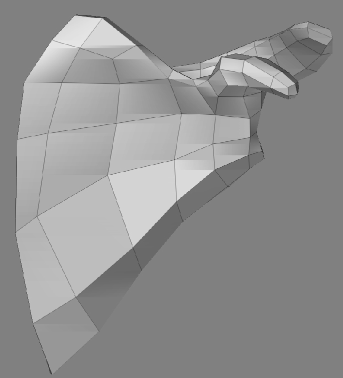 ScapulaBackLowPoly_01.jpg