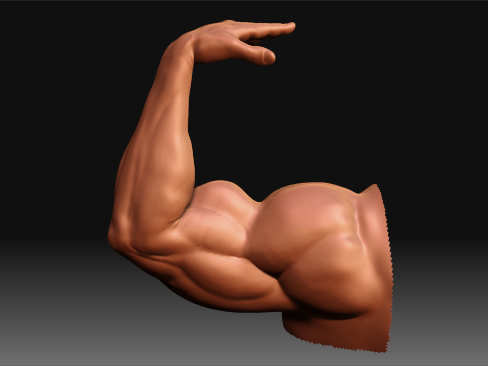 Arnold5.jpg