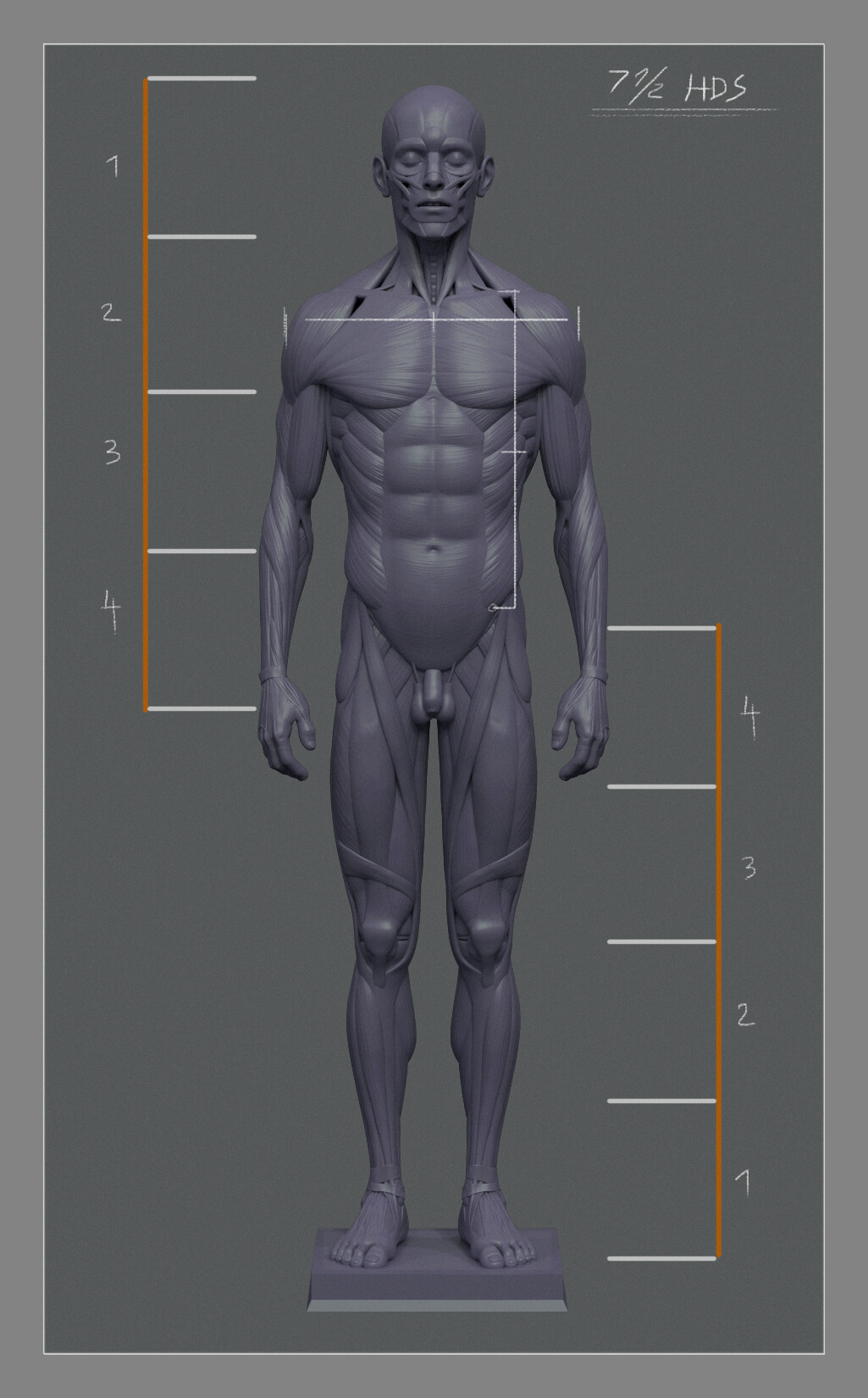 mendy-bm-mendybm-ecorche-01.jpg