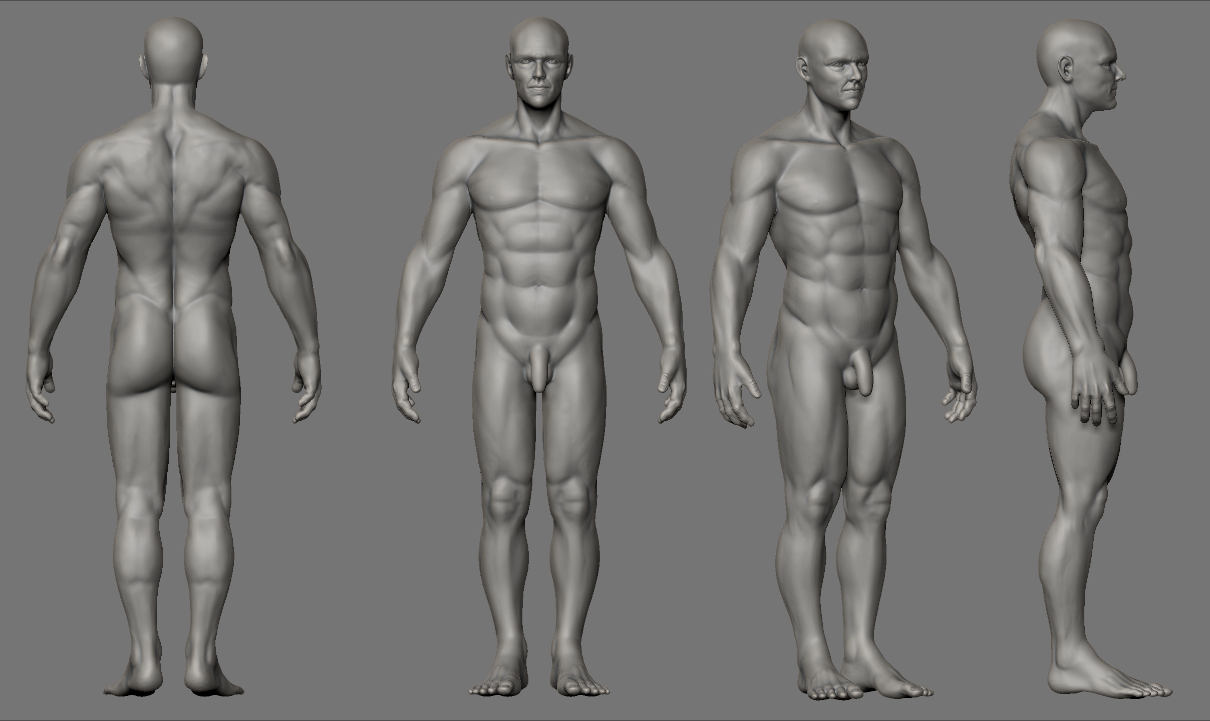WIP2.jpg