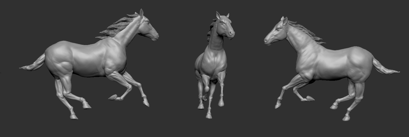 horseturnaround.jpg
