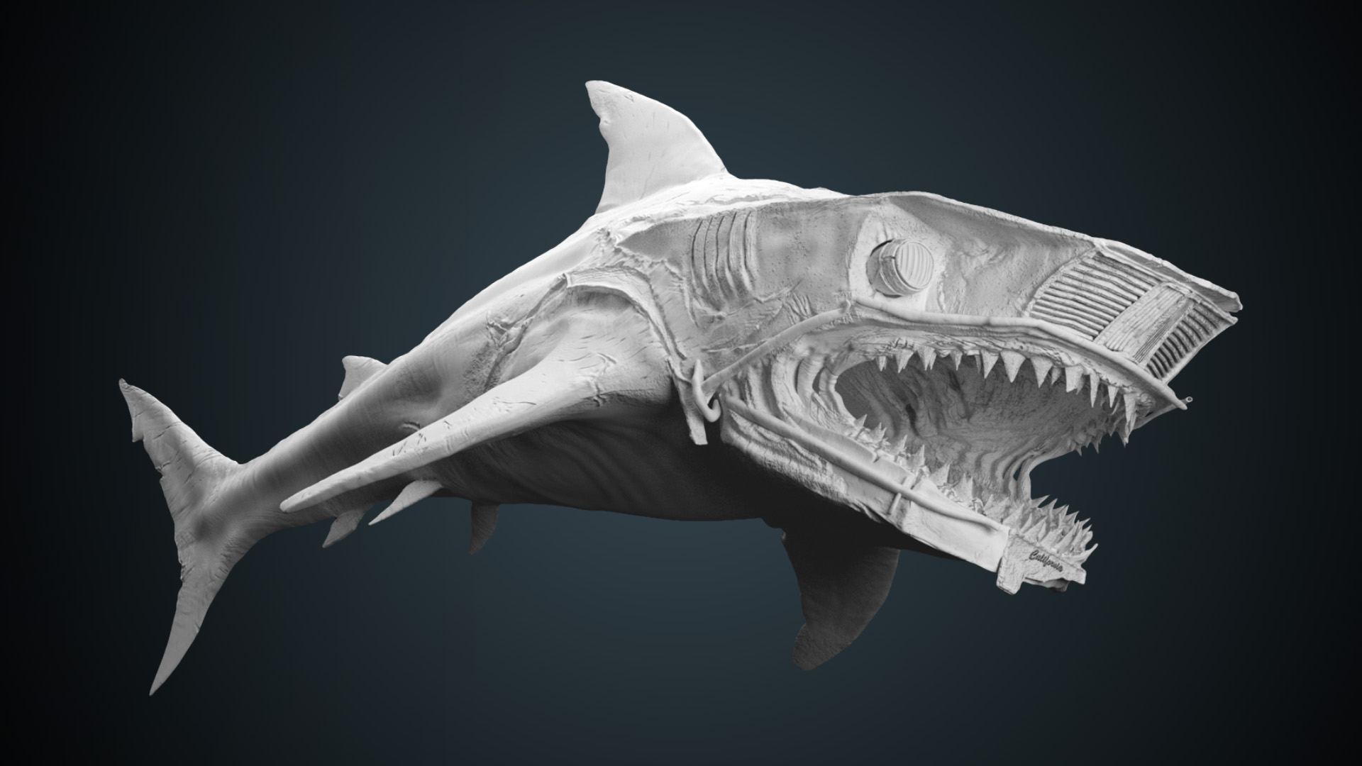 sculpt_02_shark.jpg