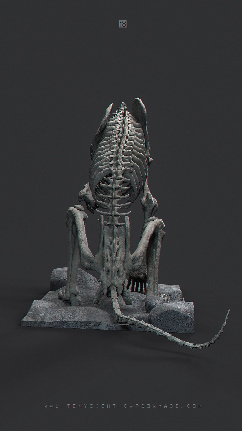 Lion_Skeleton_06.4_small.jpg