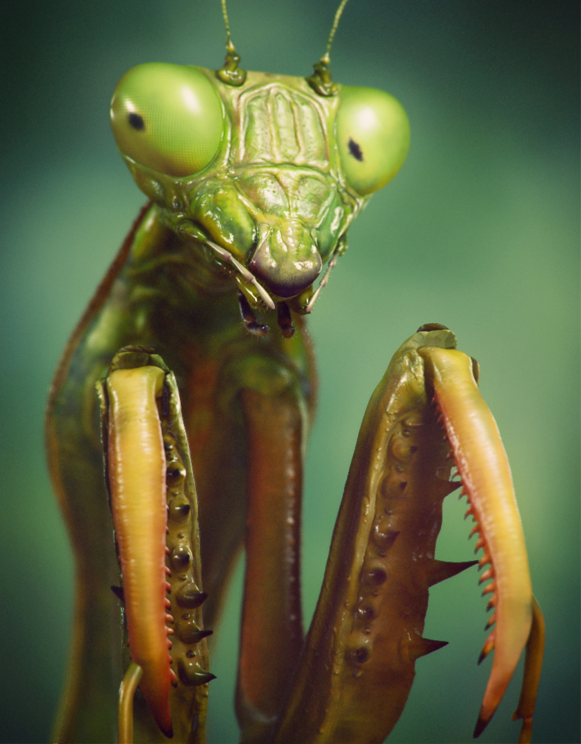 renderfinal_alta.jpg