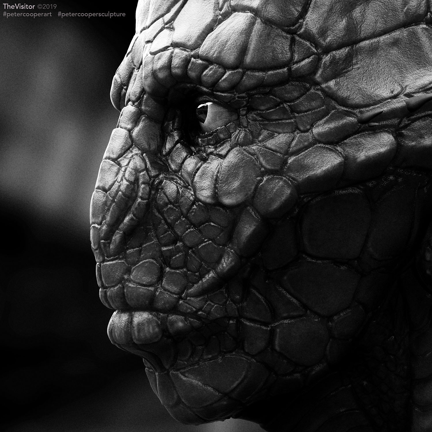 2019.02.12_Portrait02_Side_CU_B&W_ZBC.jpg