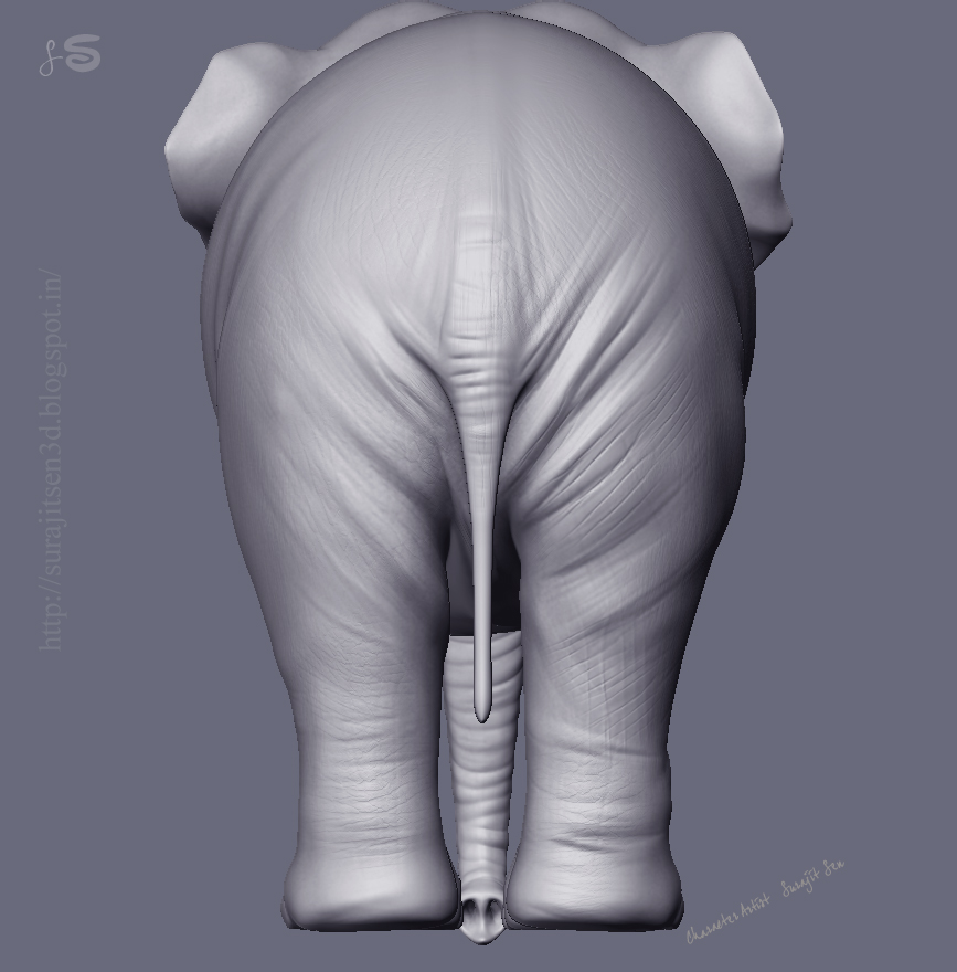 ANATOMY_R&D_SurajitSen_Asian_elephant_02032017_01.JPG