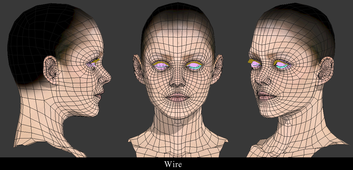 wire.jpg