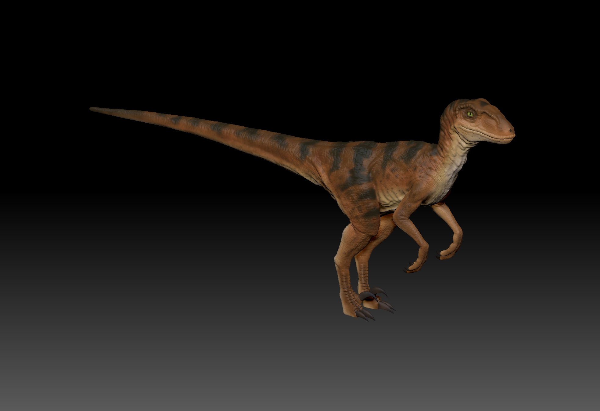 ZBrush Document1.jpg