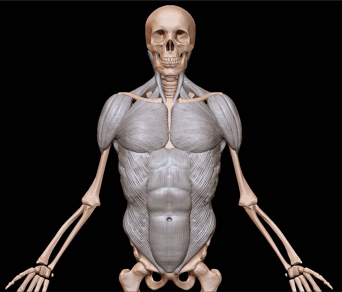 Front.jpg