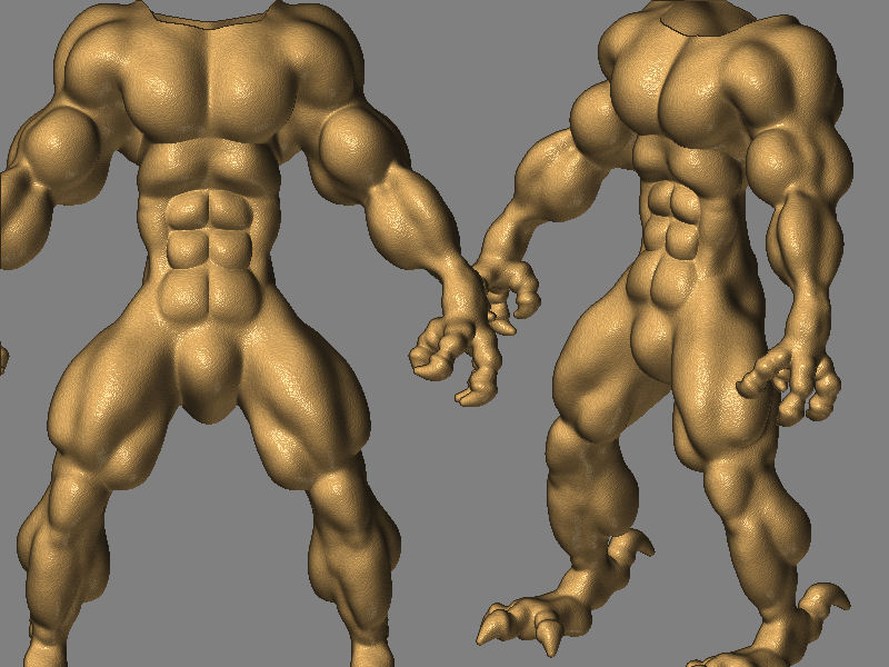 MuscleTest.jpg