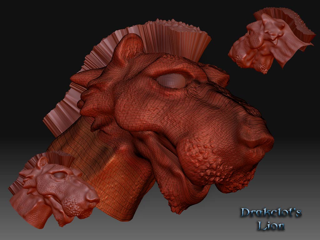 Lion-ZBrush3.jpg