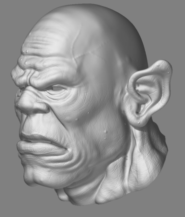 wip12.jpg