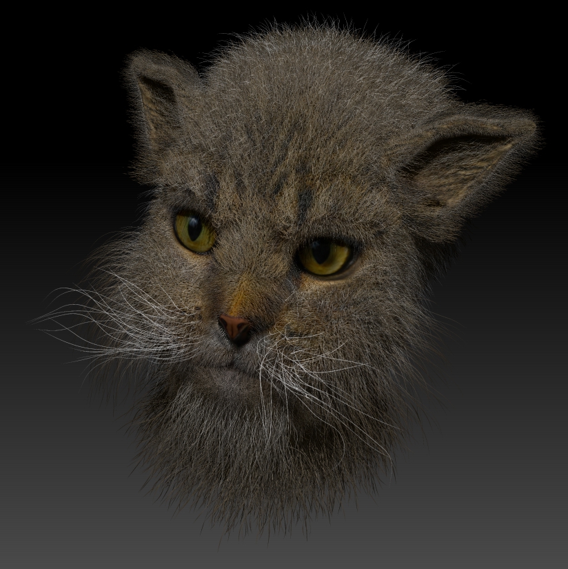 GrumpyCat-Col