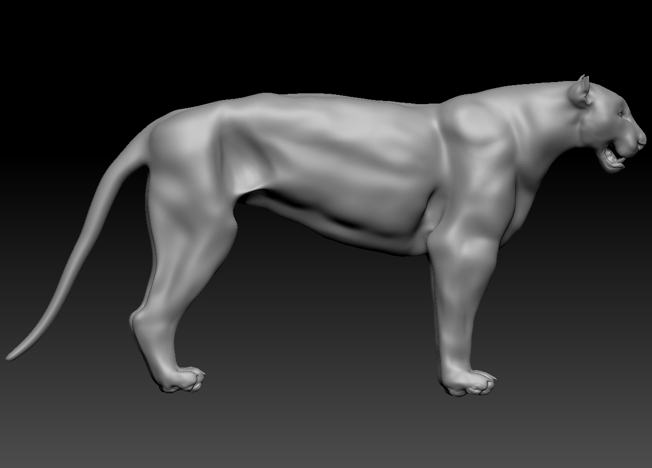 tiger_profile.jpg
