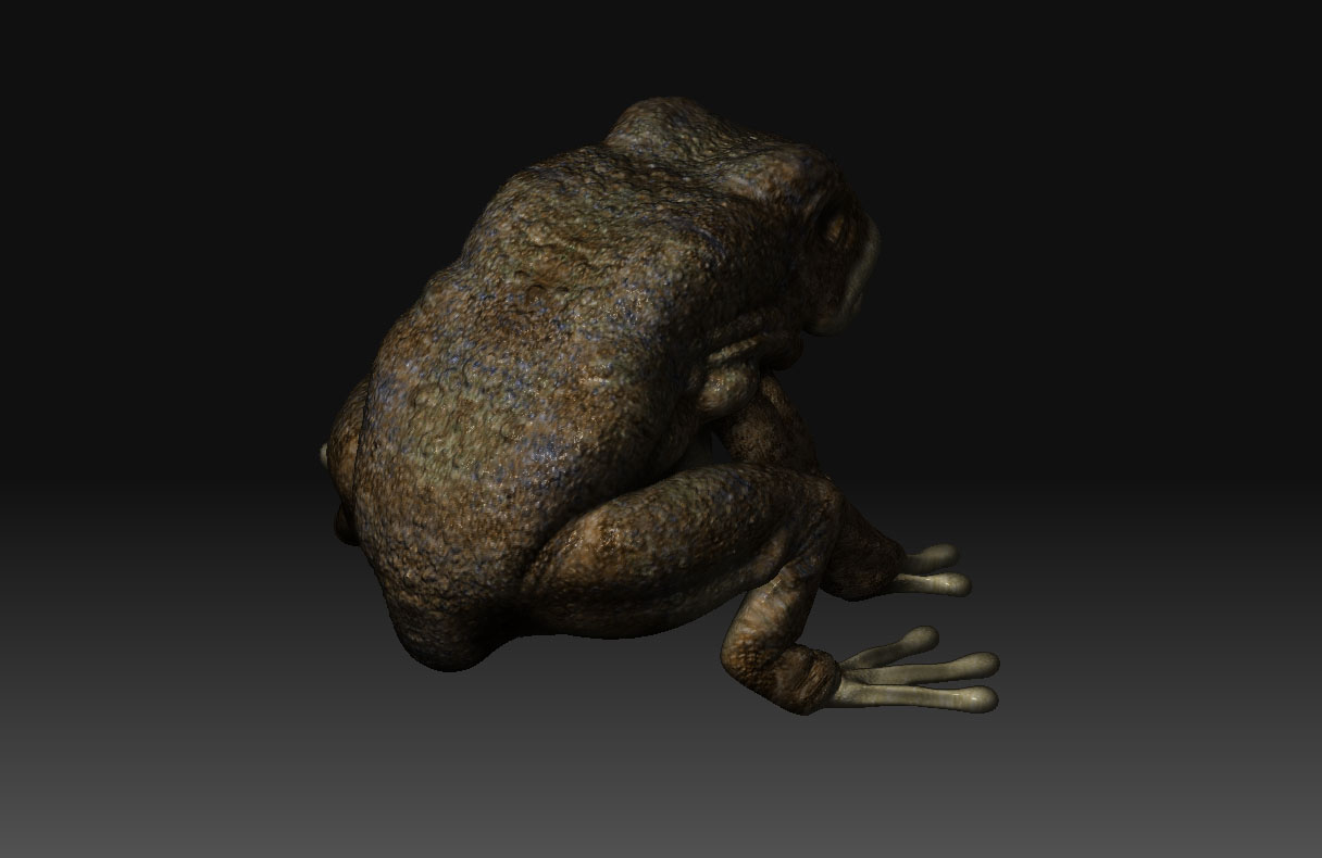 image13.jpg