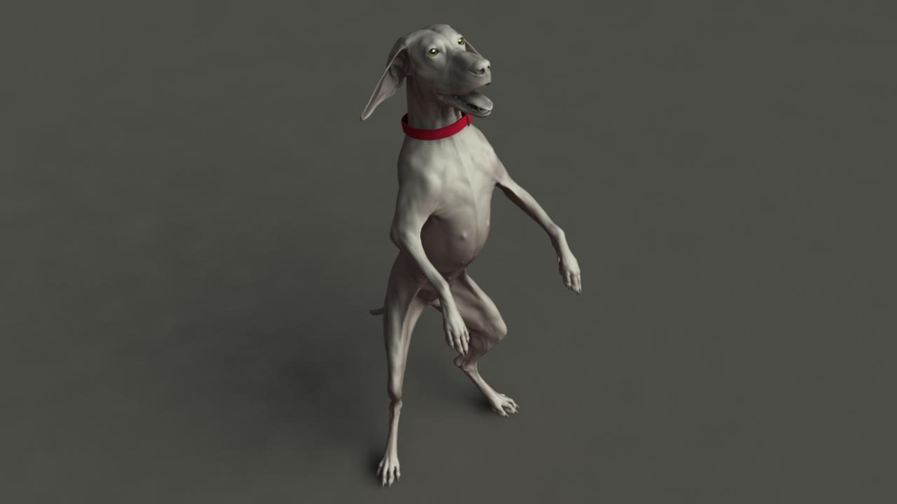 DogMayaRender3.jpg