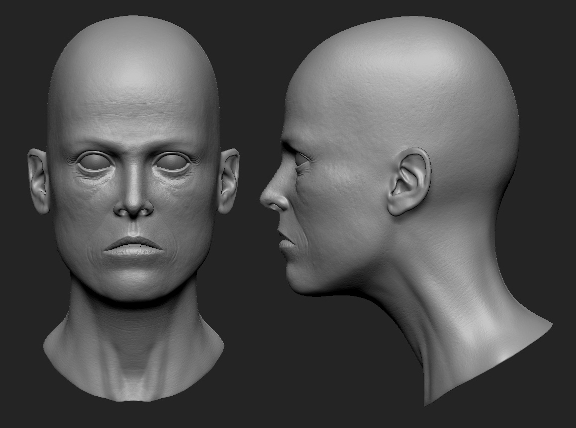 zbrush_proportions01.jpg