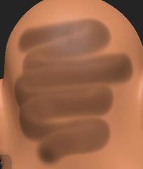 Picture.jpg