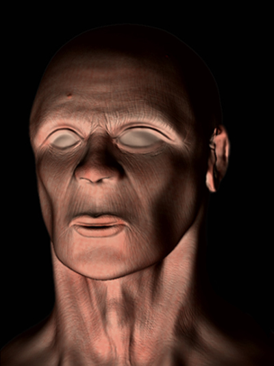 Faccia Normal Map.jpg