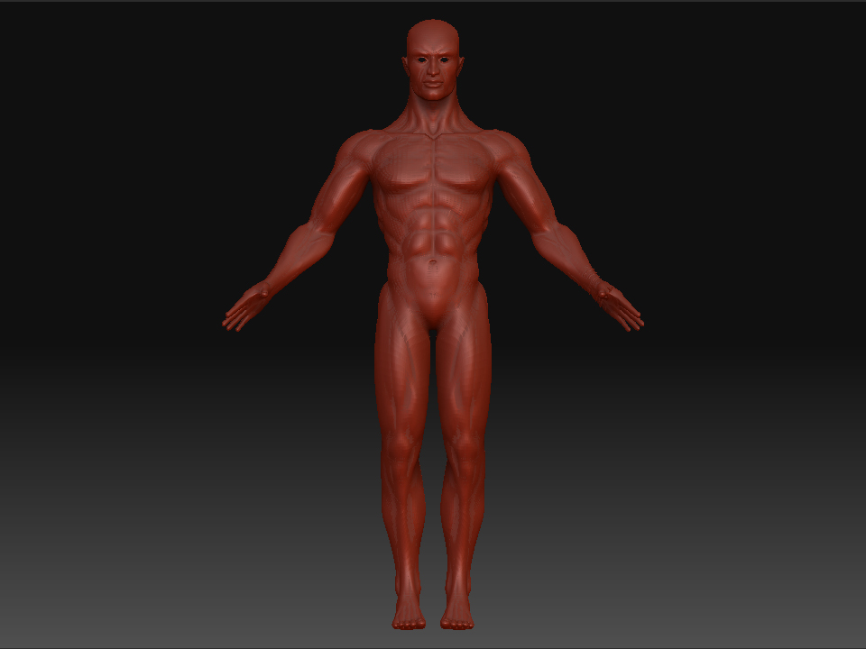 front.jpg