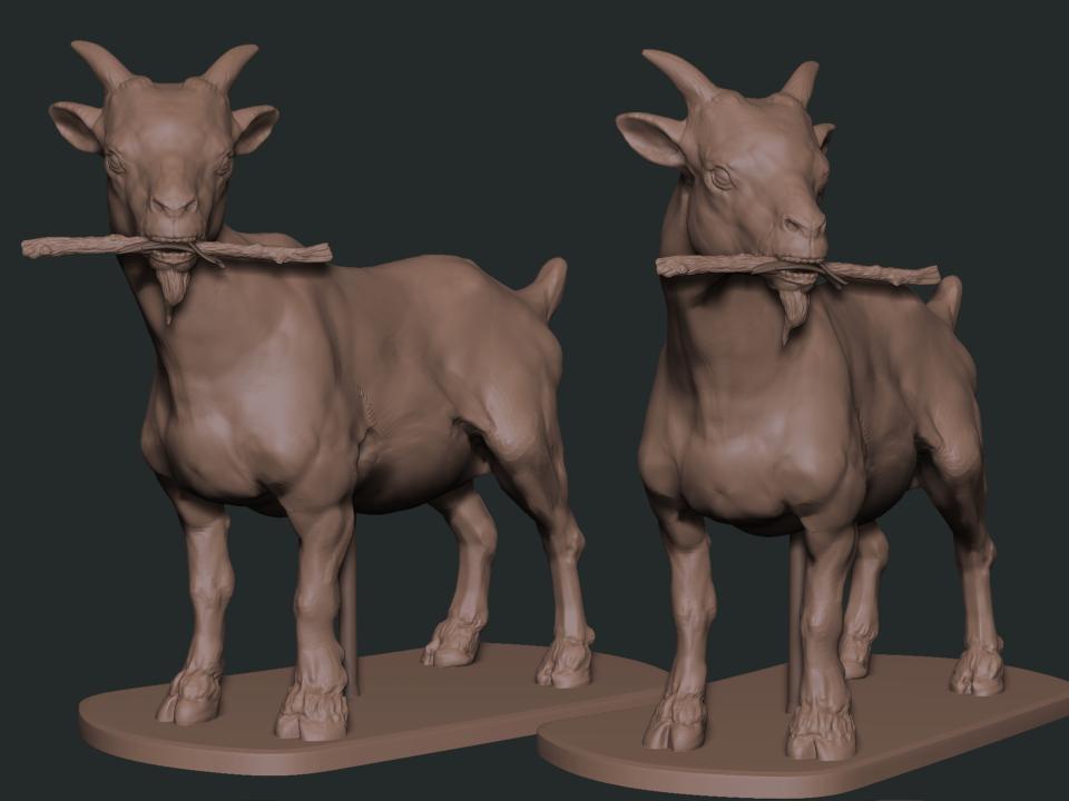 animal sketch  v5..2 pose1.2.jpg