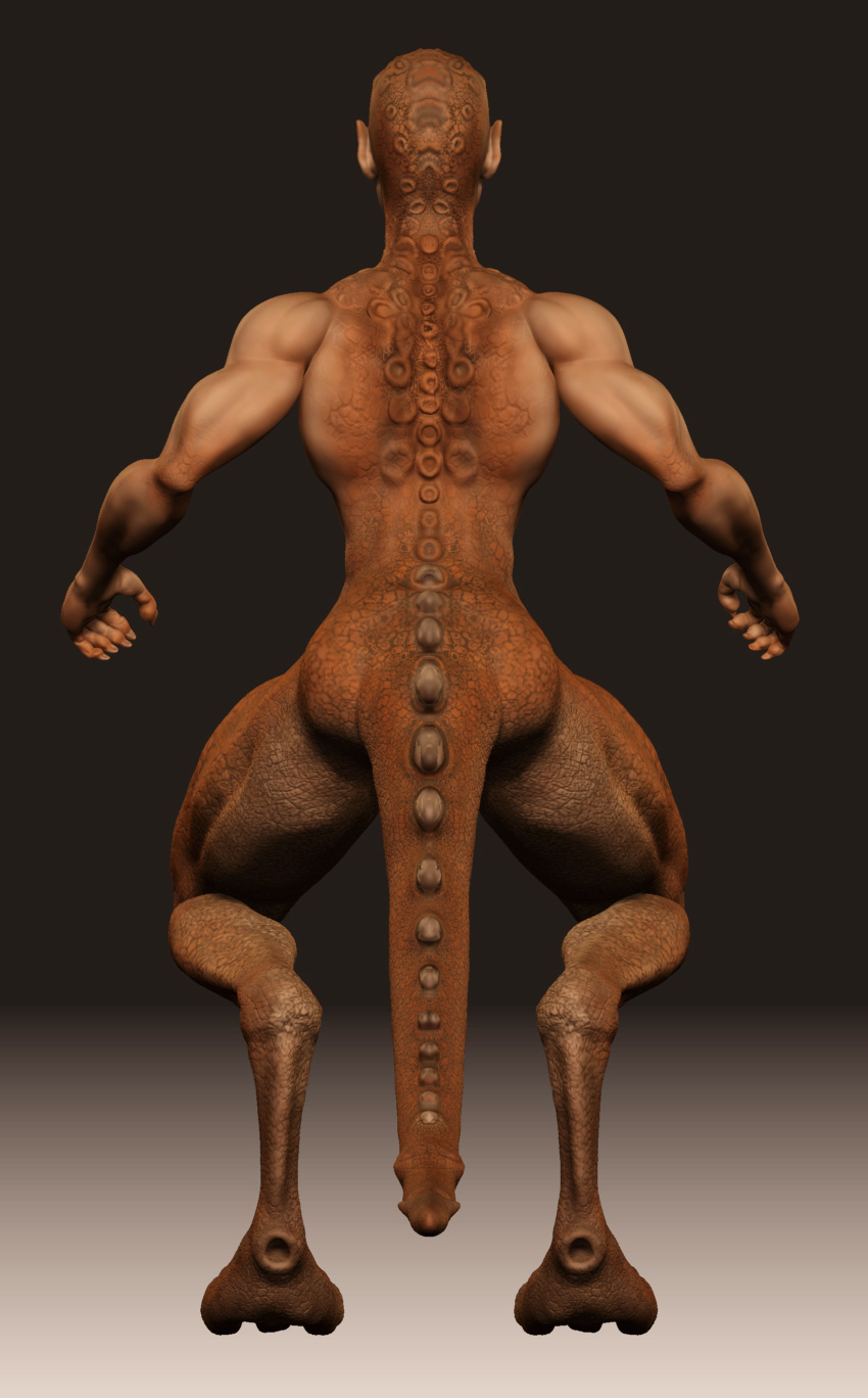 rear-tex-test.jpg