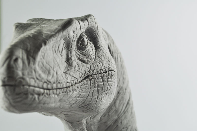 raptor.jpg