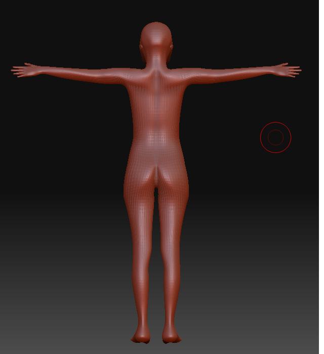 wholebody_bac.JPG