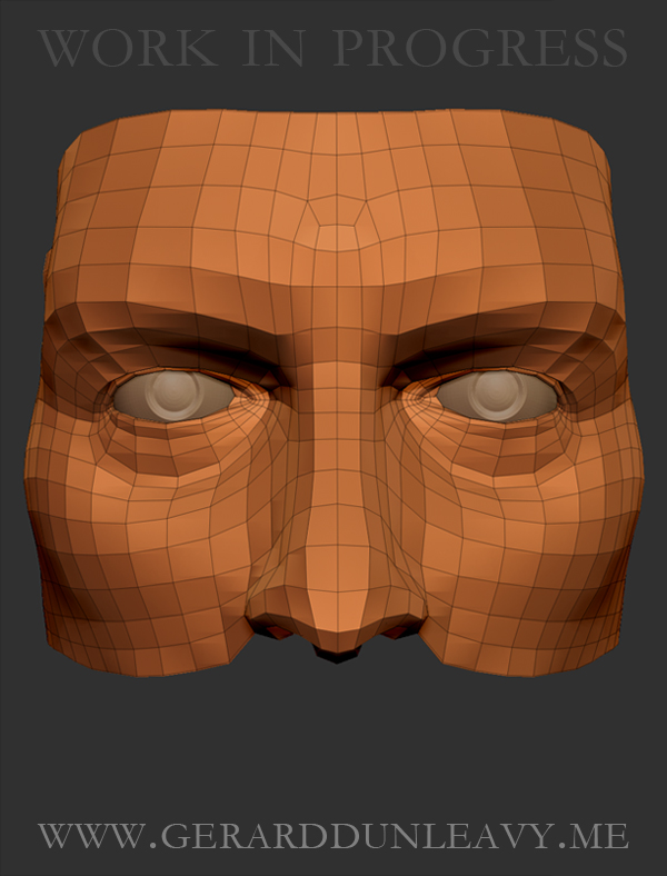 FACE_wire.jpg