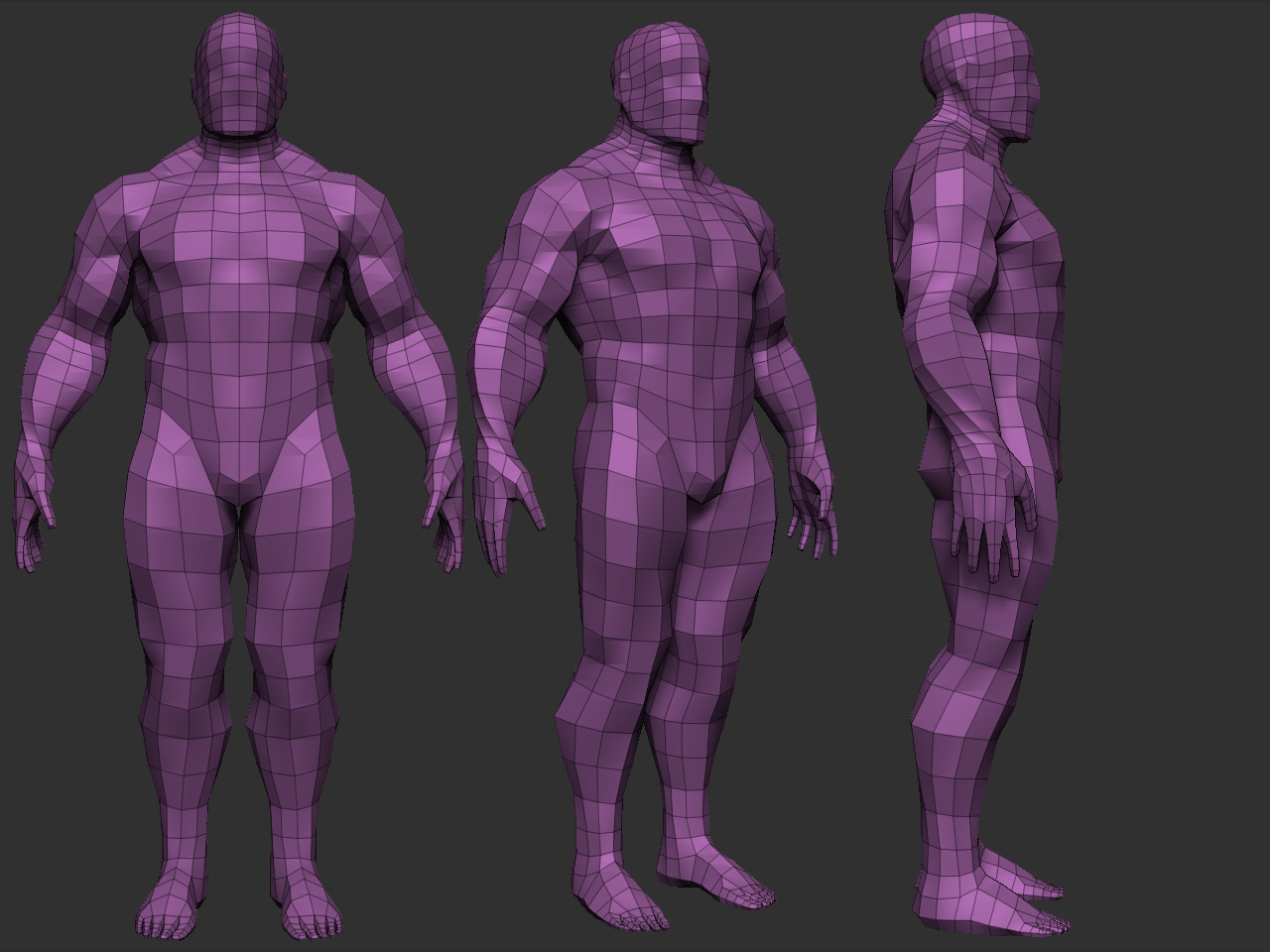 bodybuilder_v002.jpg