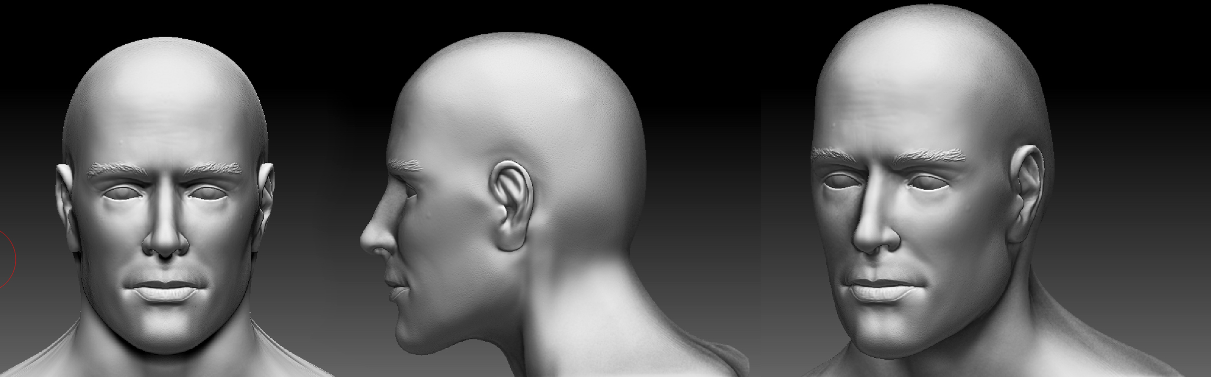 manHeadAnatomy_01.jpg