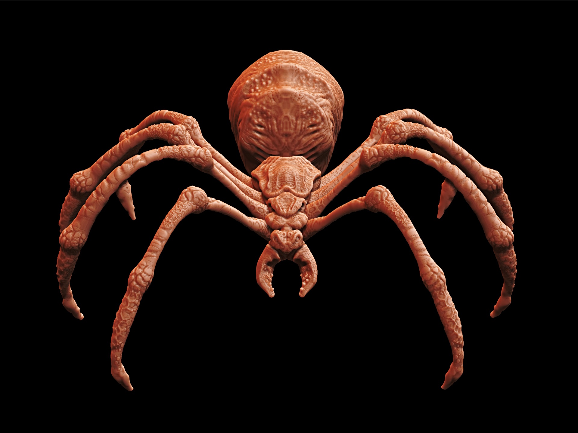 zspider3-large.jpg