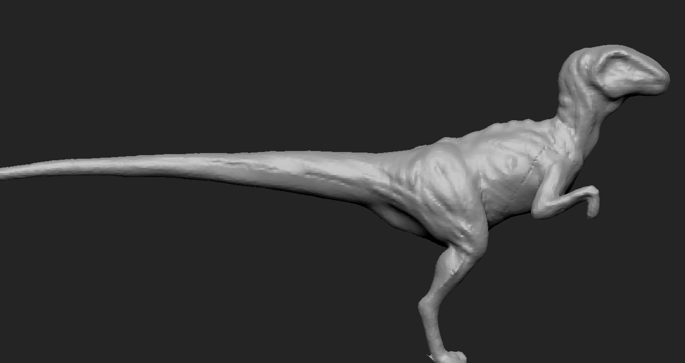 raptor3.jpg