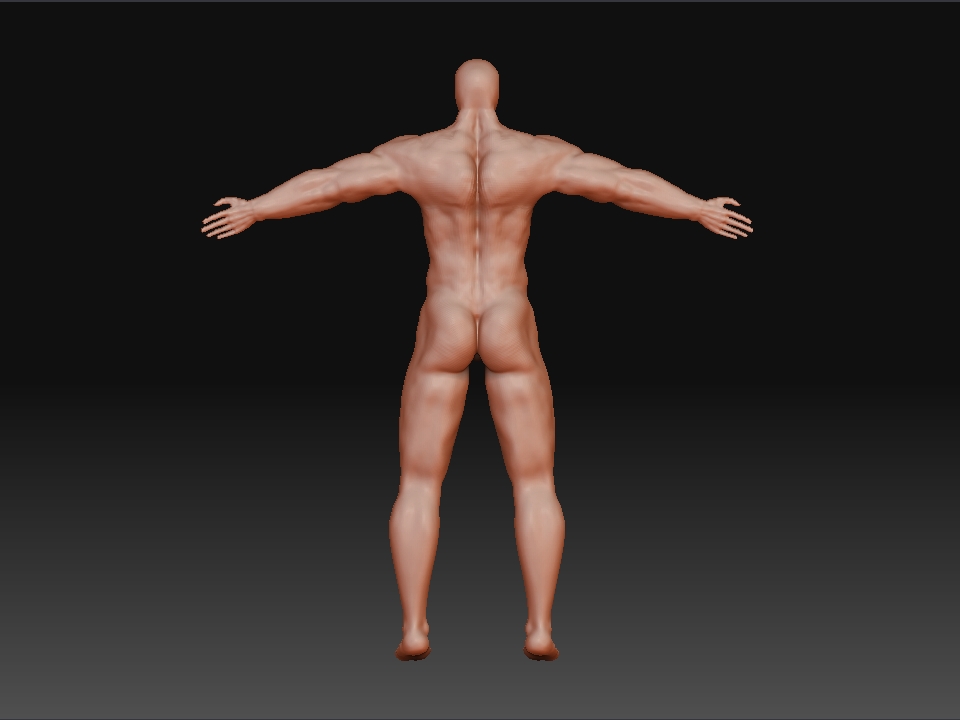 skin3.jpg
