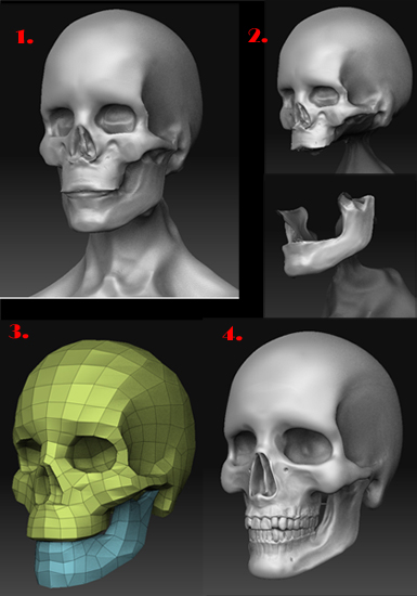 skullcreate.jpg