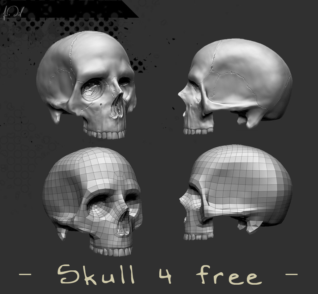 skull_4_free.jpg