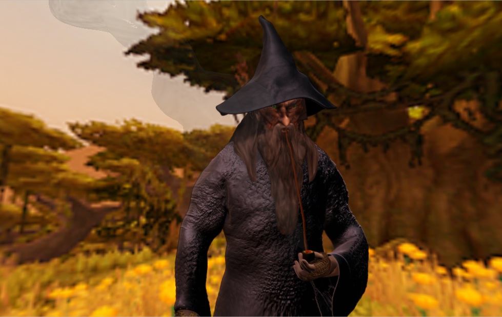 Gandolf the Gray 11.jpg