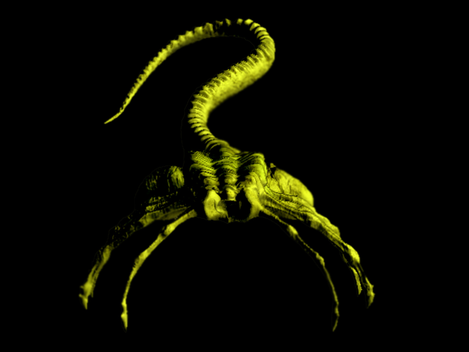 Hugger Yellow.jpg