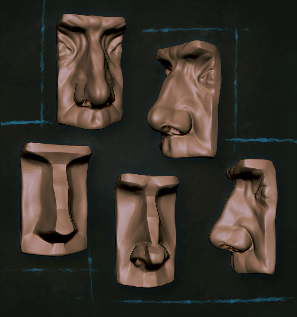 nose.jpg