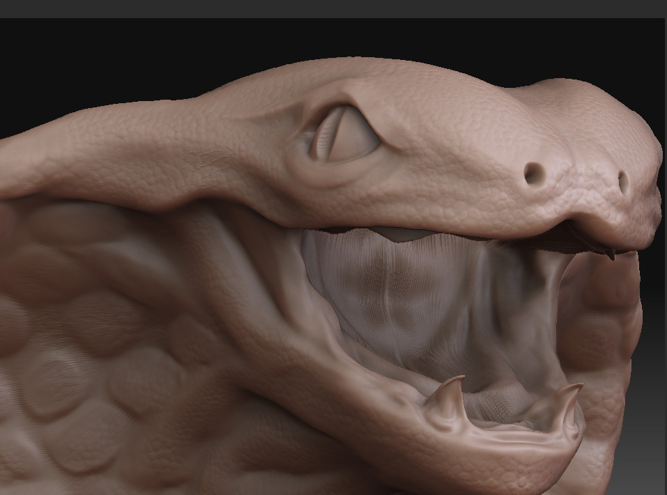 snake_1.jpg