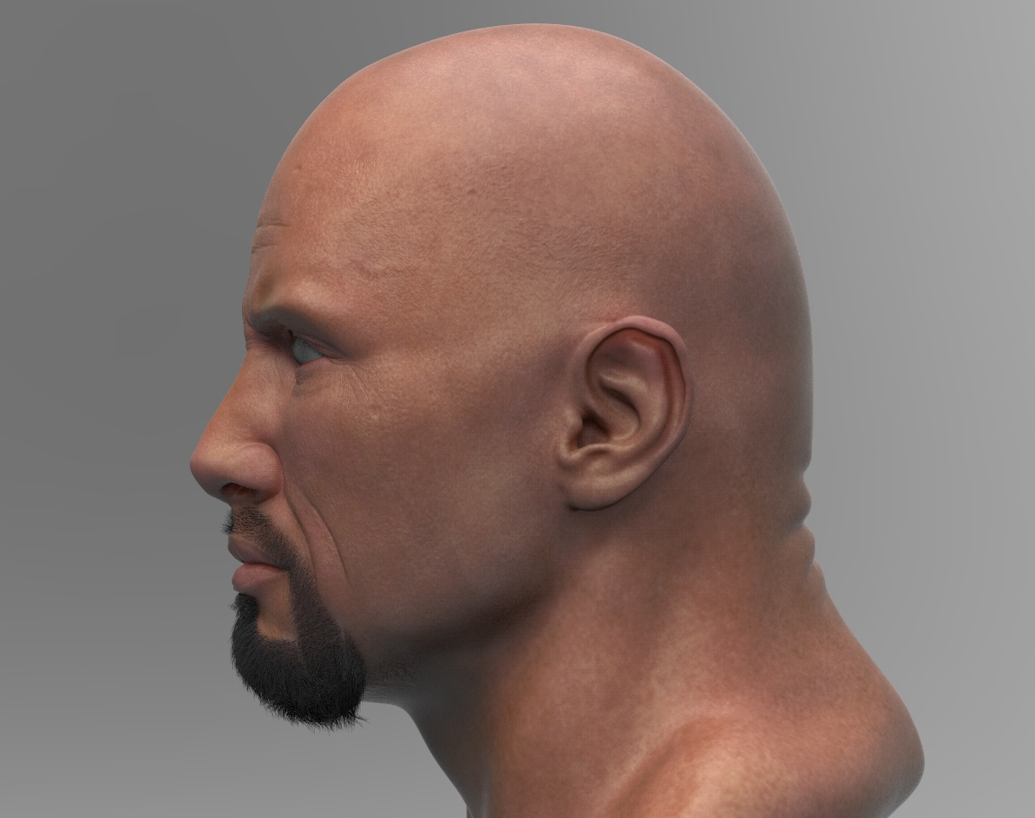 The rock.4.jpg