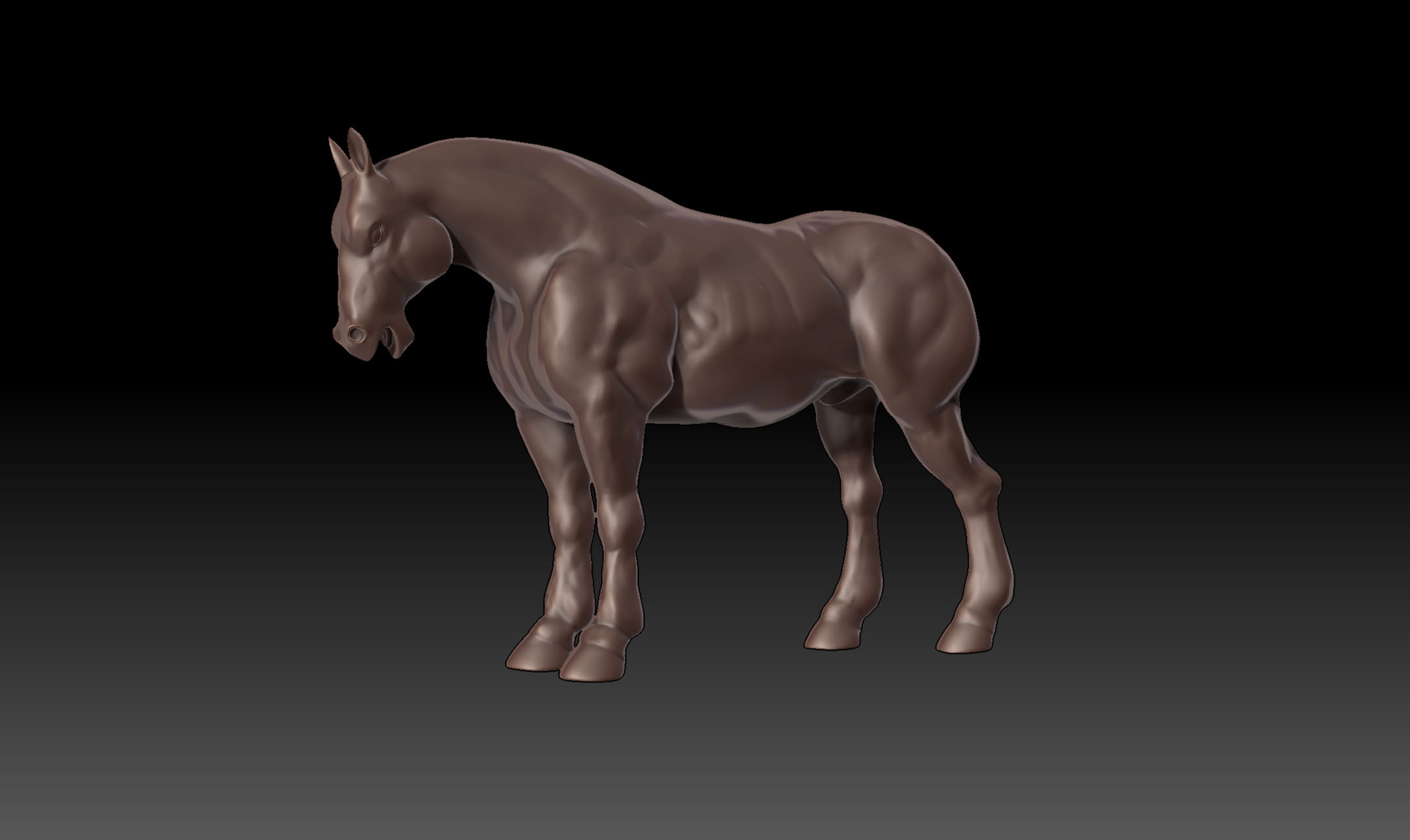 Horse posed.jpg