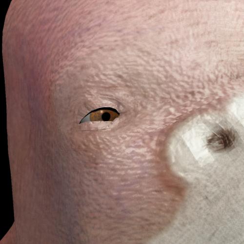 upload03.jpg