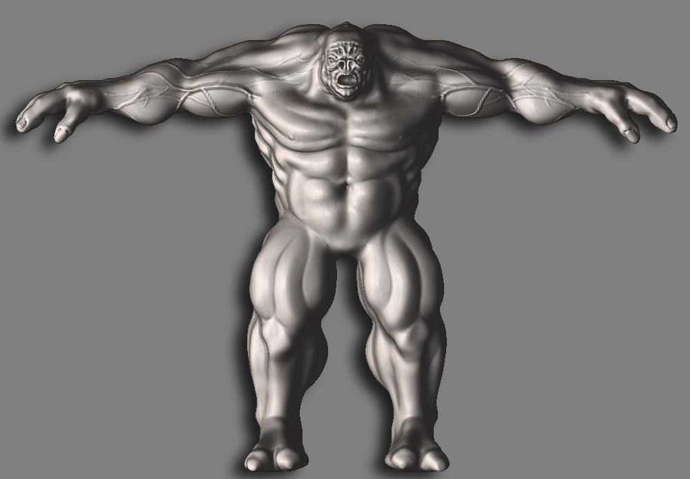 front veiny.jpg