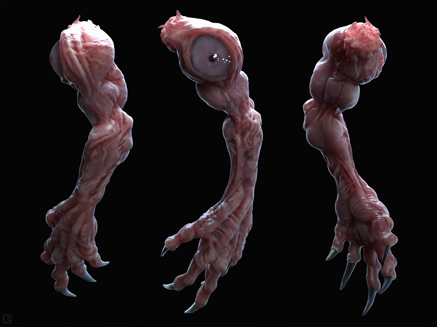 arm02.jpg