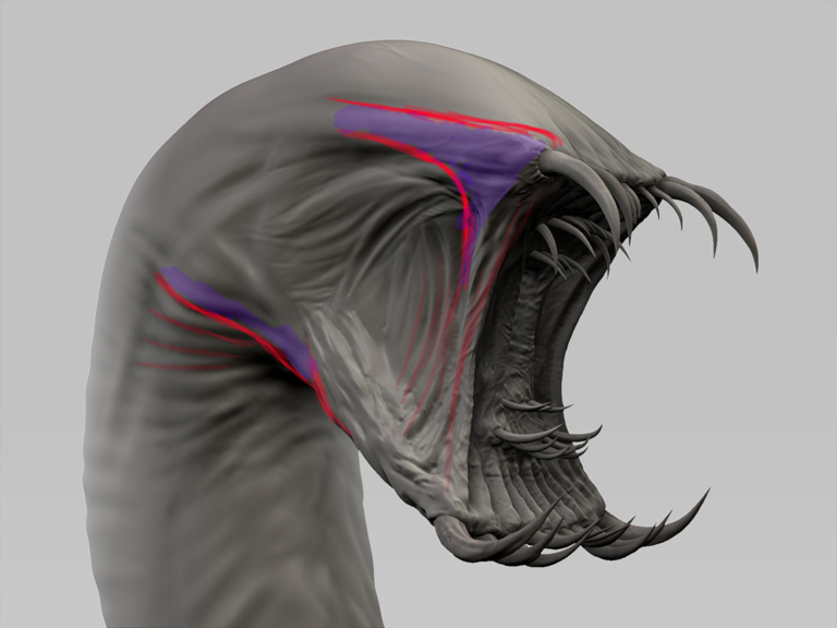 wormPaintOver.jpg