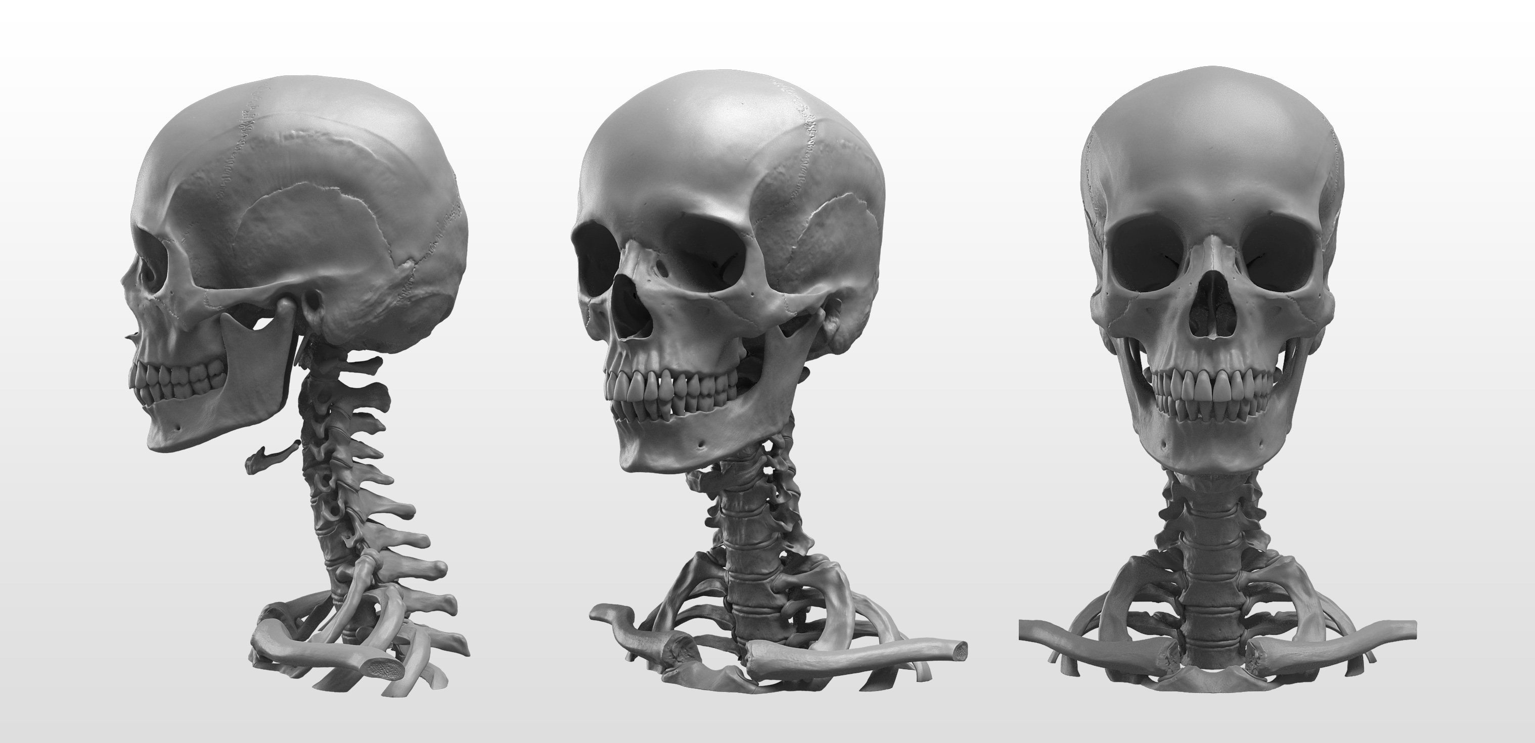 render2.jpg