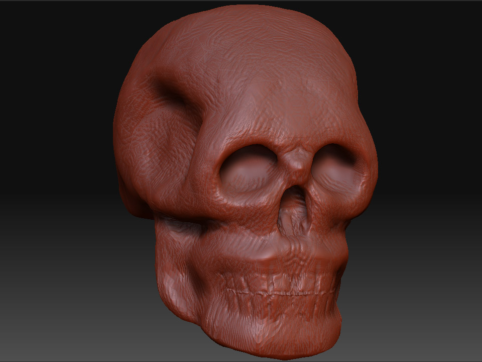 Skull_2_quarter.jpg